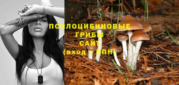 гашишное масло Инта